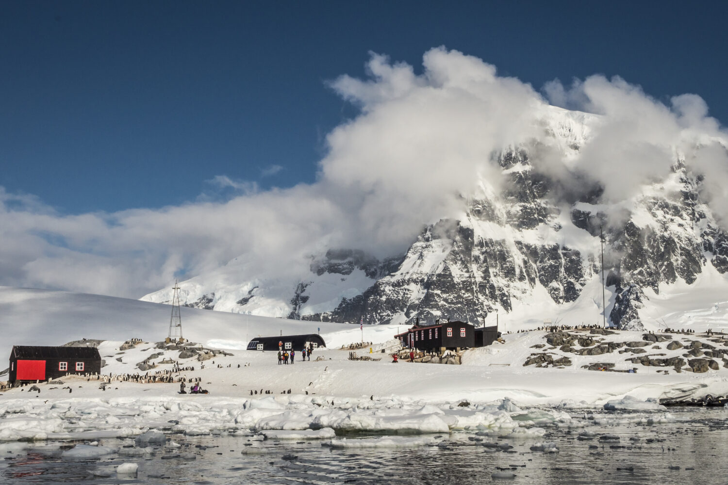 洪迪乌斯号11天南极半岛游