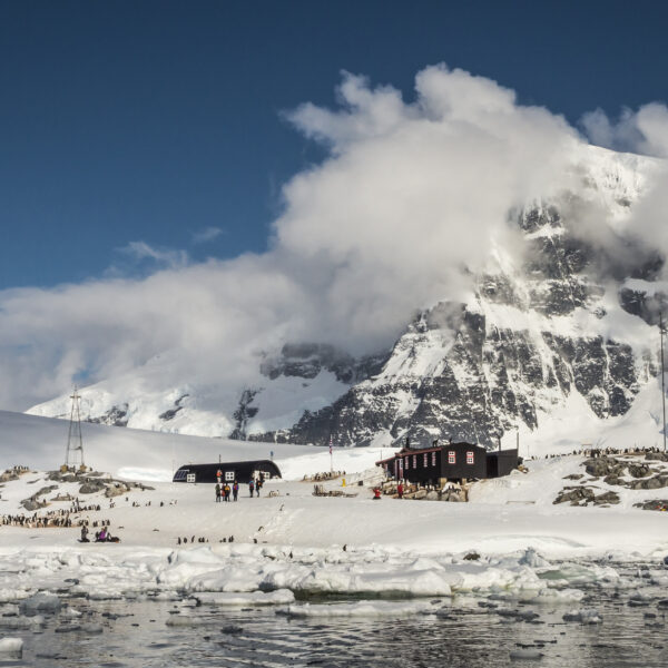 洪迪乌斯号11天南极半岛游