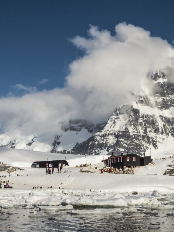 洪迪乌斯号11天南极半岛游