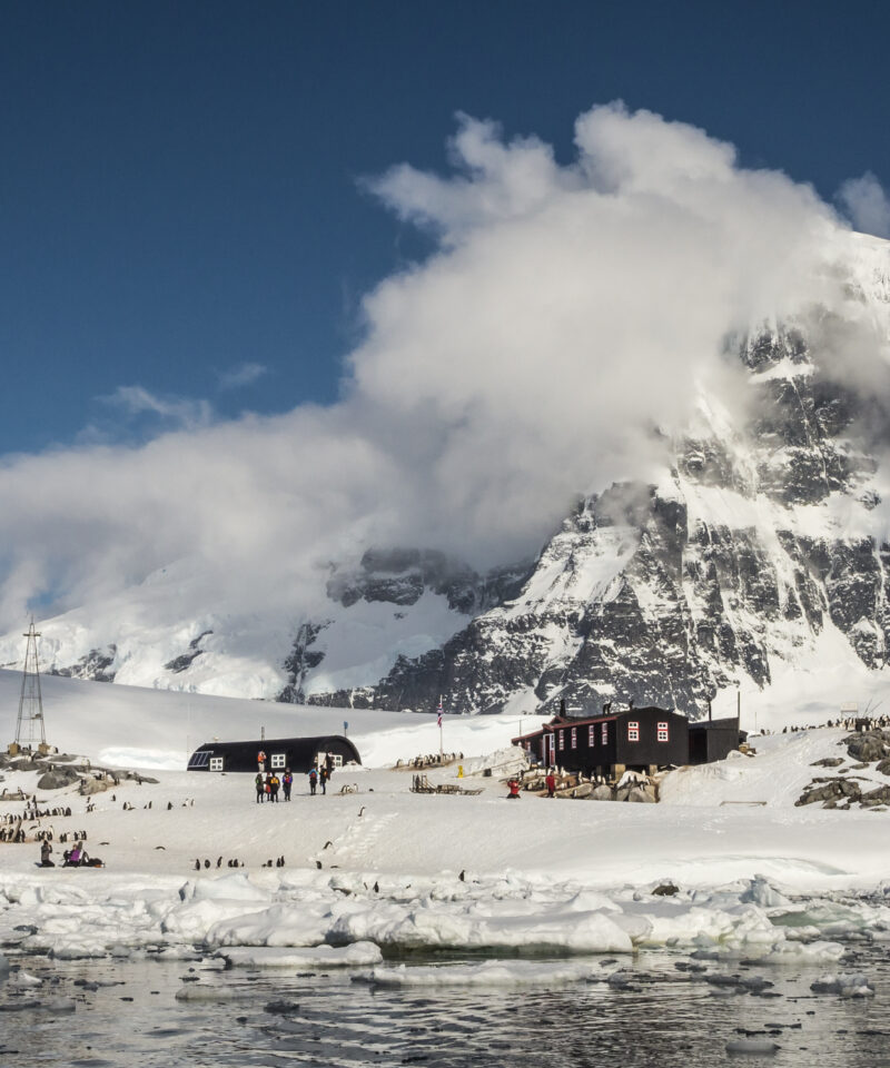 洪迪乌斯号11天南极半岛游