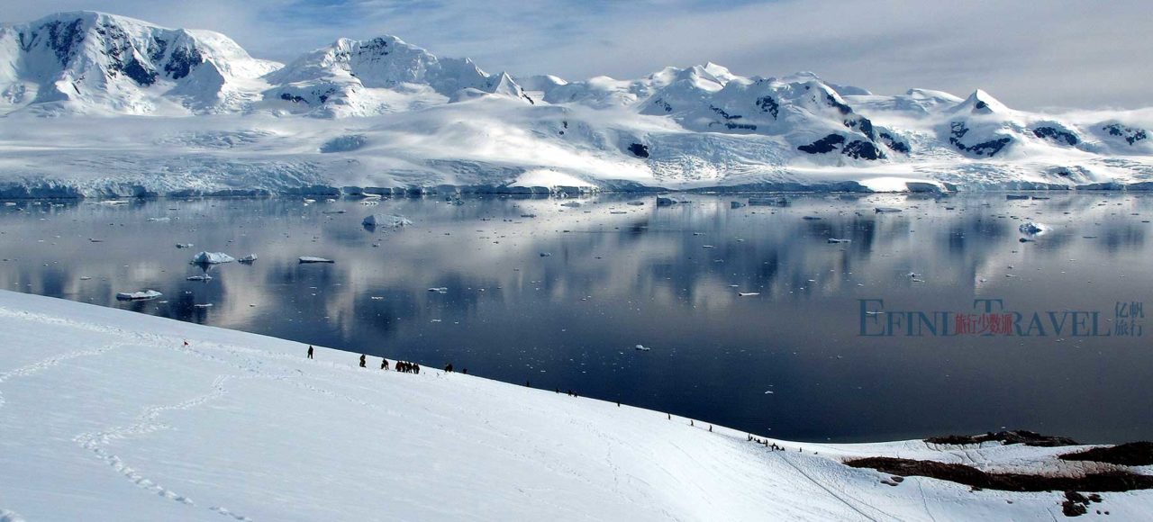 antarctica cruises