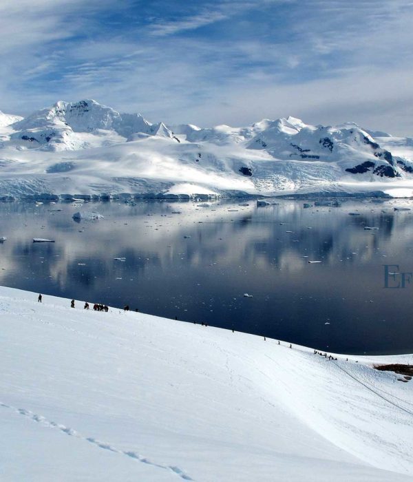 antarctica cruises