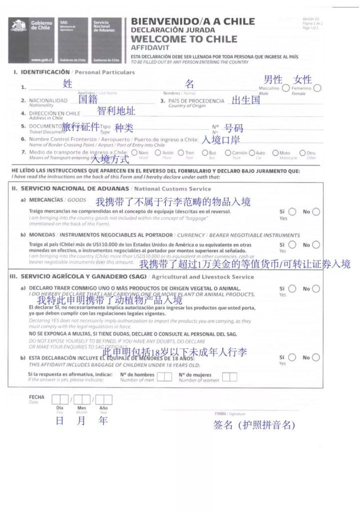 智利入境表