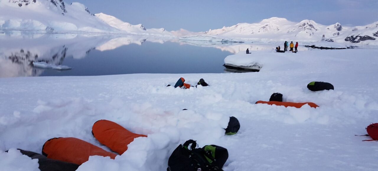 洪迪乌斯号13天南极半岛游