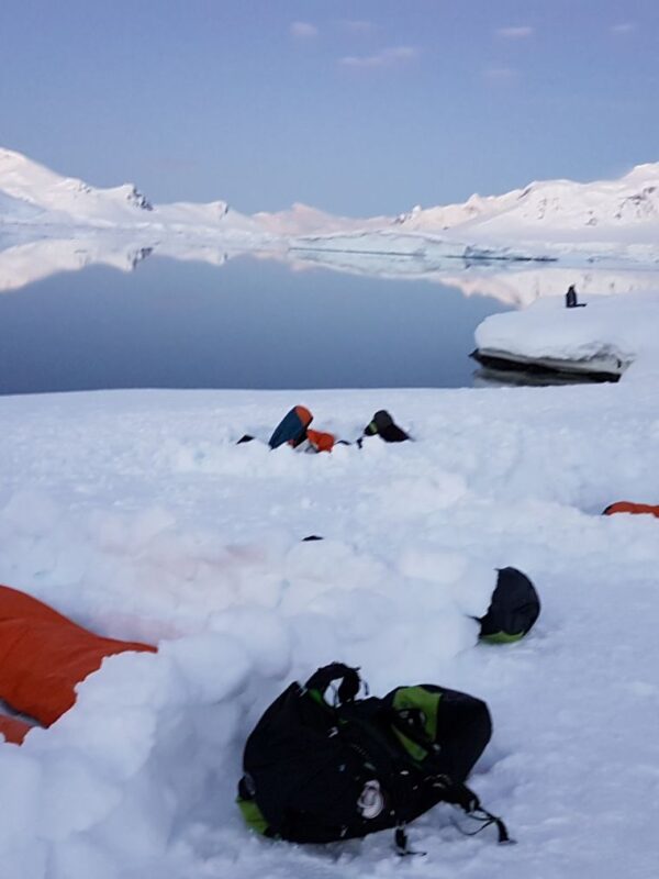 洪迪乌斯号13天南极半岛游