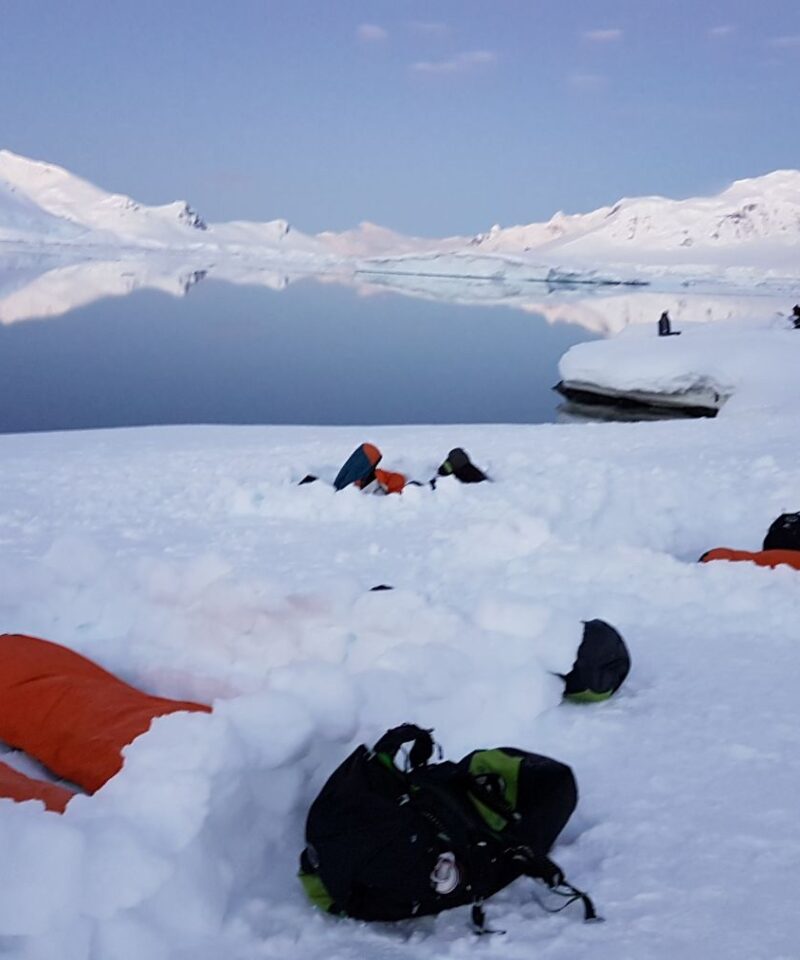 洪迪乌斯号13天南极半岛游