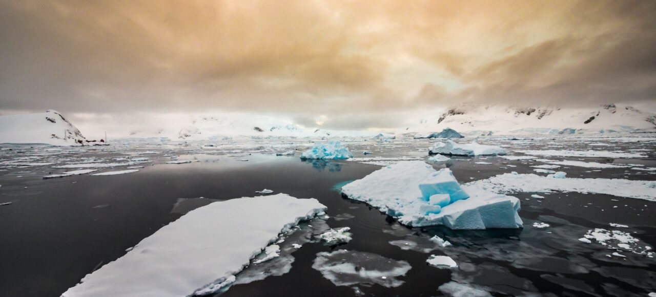 布朗休斯号南极半岛11天10晚游