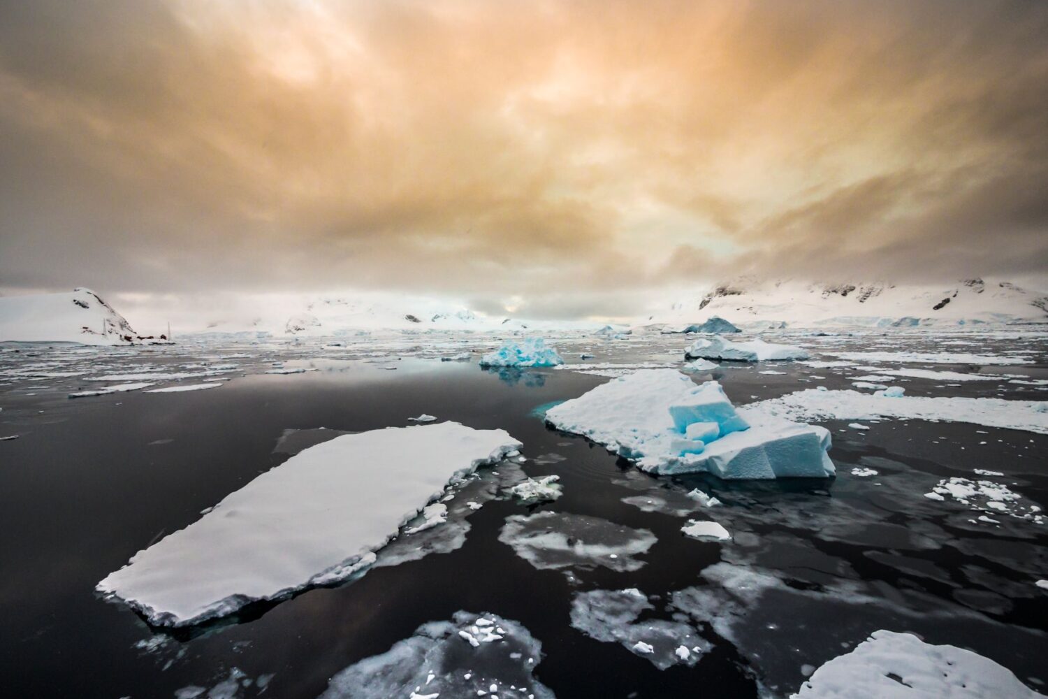 布朗休斯号南极半岛11天10晚游