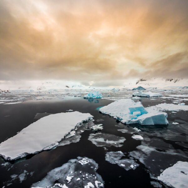 布朗休斯号南极半岛11天10晚游