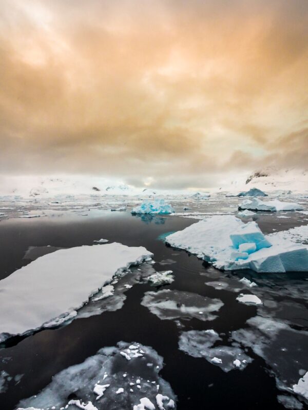 布朗休斯号南极半岛11天10晚游