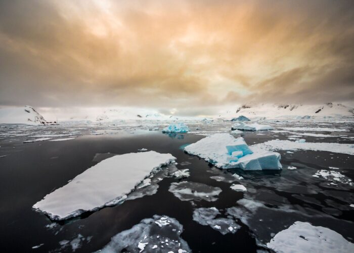 布朗休斯号南极半岛11天10晚游
