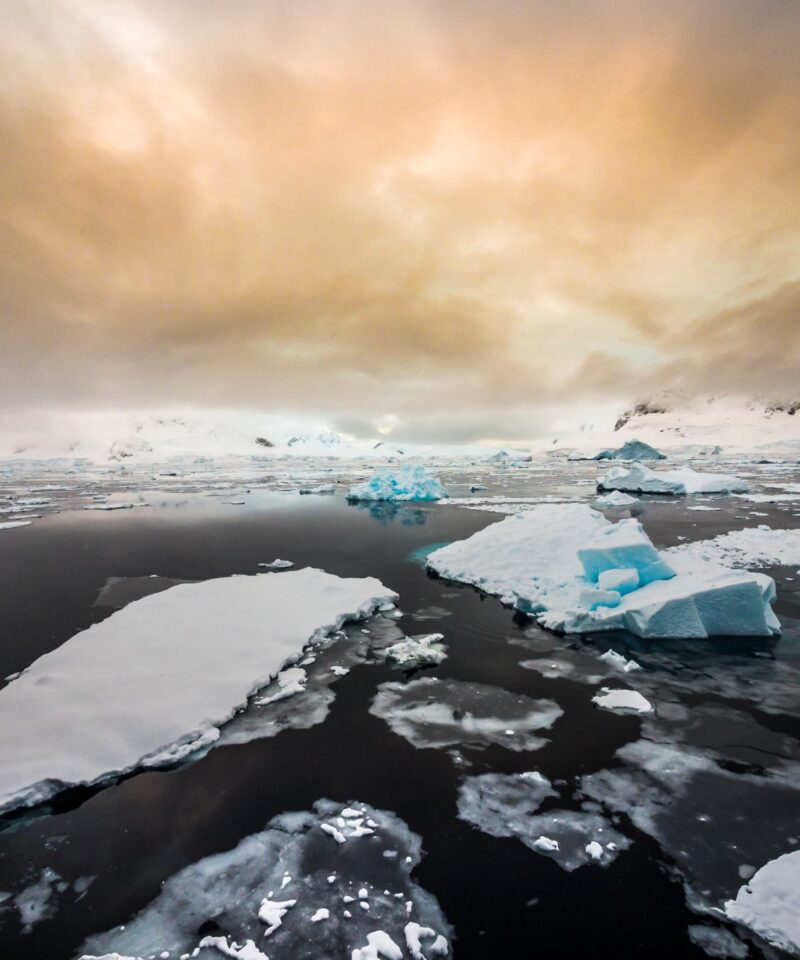 布朗休斯号南极半岛11天10晚游