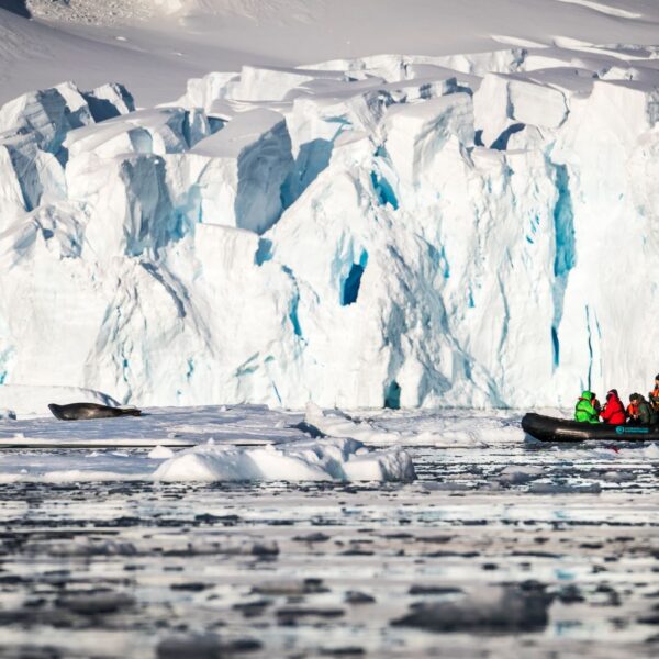 奥特里斯福克兰群岛，南乔治亚岛和南极半岛三岛19日游