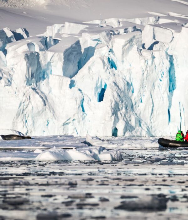 奥特里斯福克兰群岛，南乔治亚岛和南极半岛三岛19日游