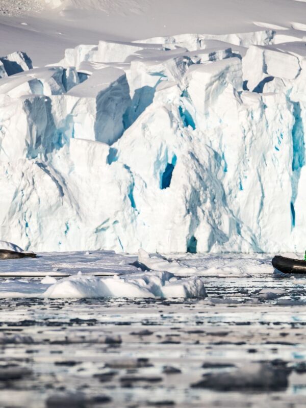 奥特里斯福克兰群岛，南乔治亚岛和南极半岛三岛19日游