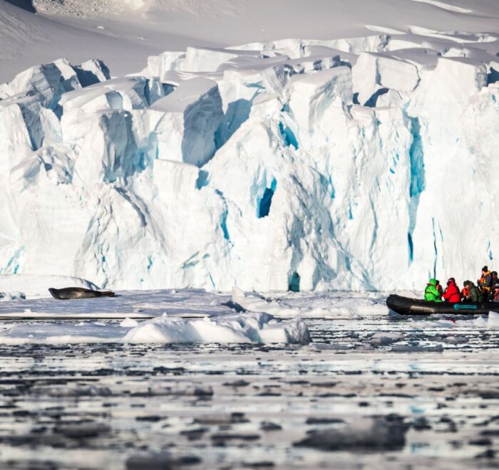 奥特里斯福克兰群岛，南乔治亚岛和南极半岛三岛19日游