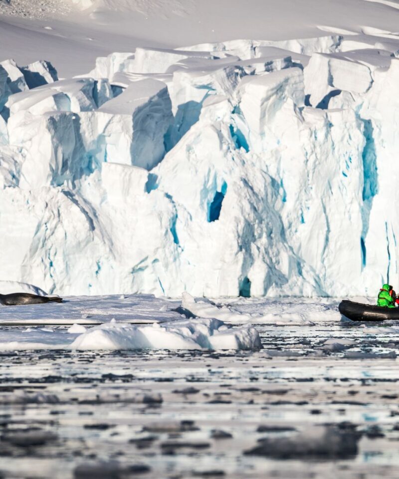 奥特里斯福克兰群岛，南乔治亚岛和南极半岛三岛19日游