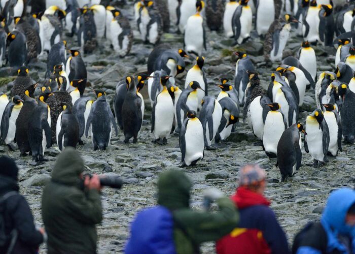 奥特里斯号南极三岛游