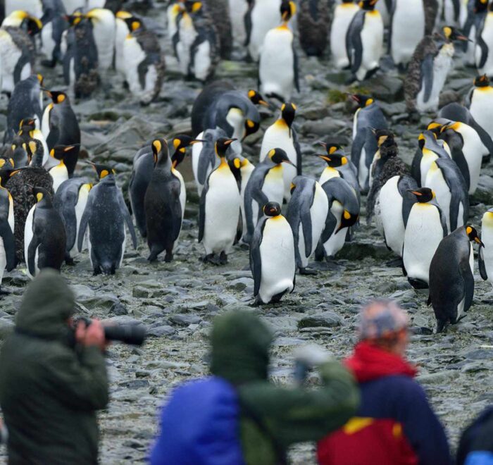 奥特里斯号南极三岛游