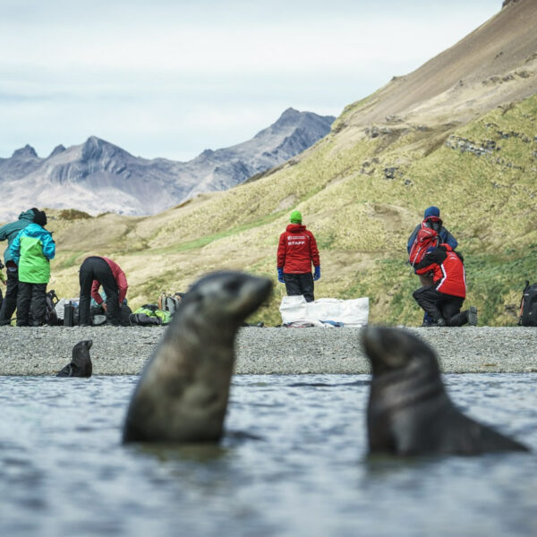 布朗休斯号福克兰群岛+南乔治亚岛+南极半岛20日游