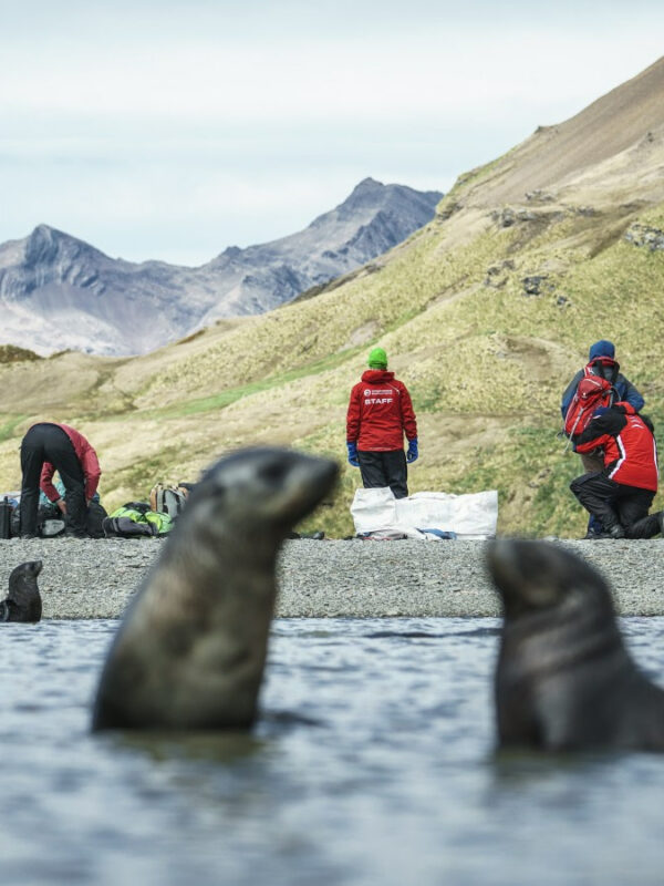 布朗休斯号福克兰群岛+南乔治亚岛+南极半岛20日游