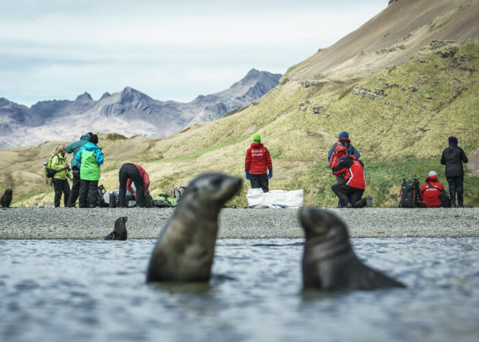 布朗休斯号福克兰群岛+南乔治亚岛+南极半岛20日游