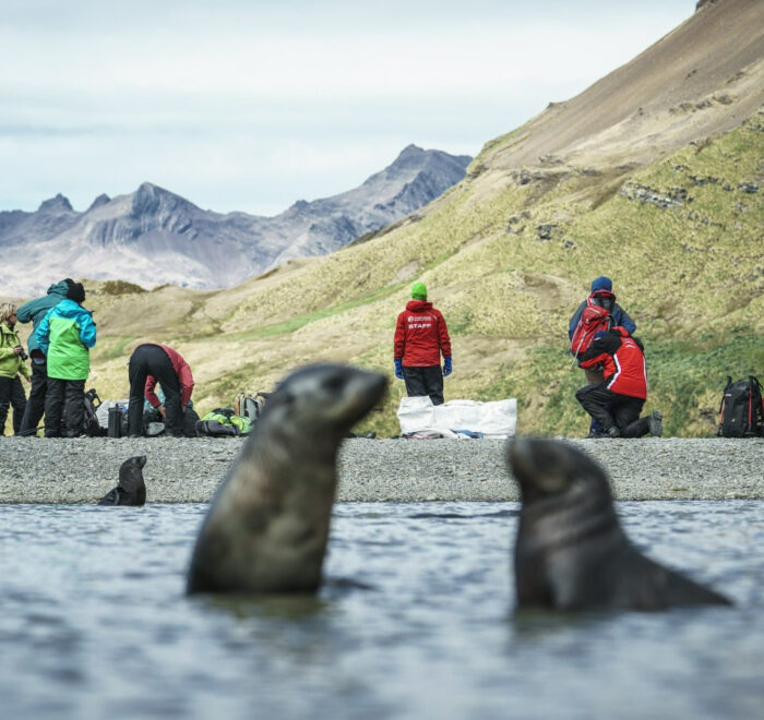 布朗休斯号福克兰群岛+南乔治亚岛+南极半岛20日游