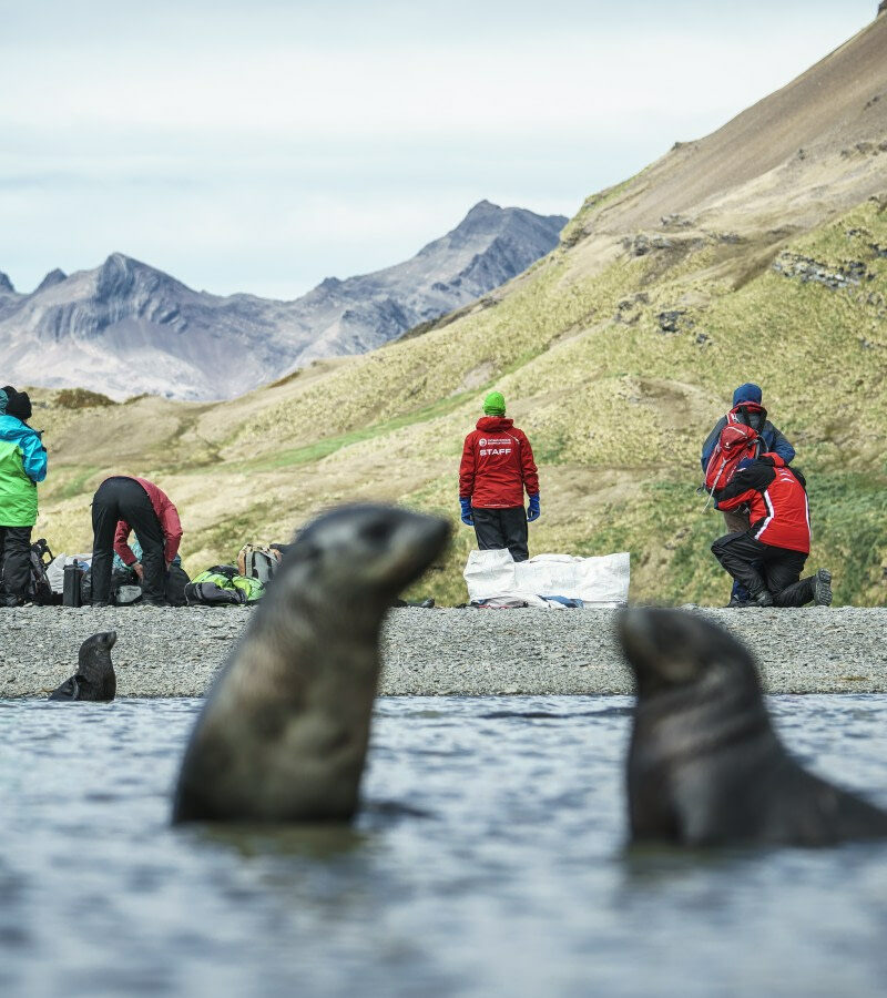 布朗休斯号福克兰群岛+南乔治亚岛+南极半岛20日游