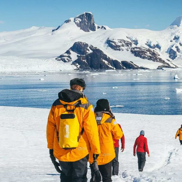 11天乌斯怀亚往返经典南极半岛游