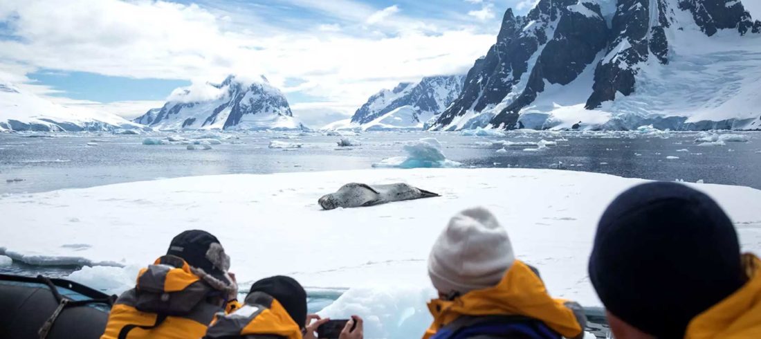 夸克11天直飞南极跨南极圈之旅价格