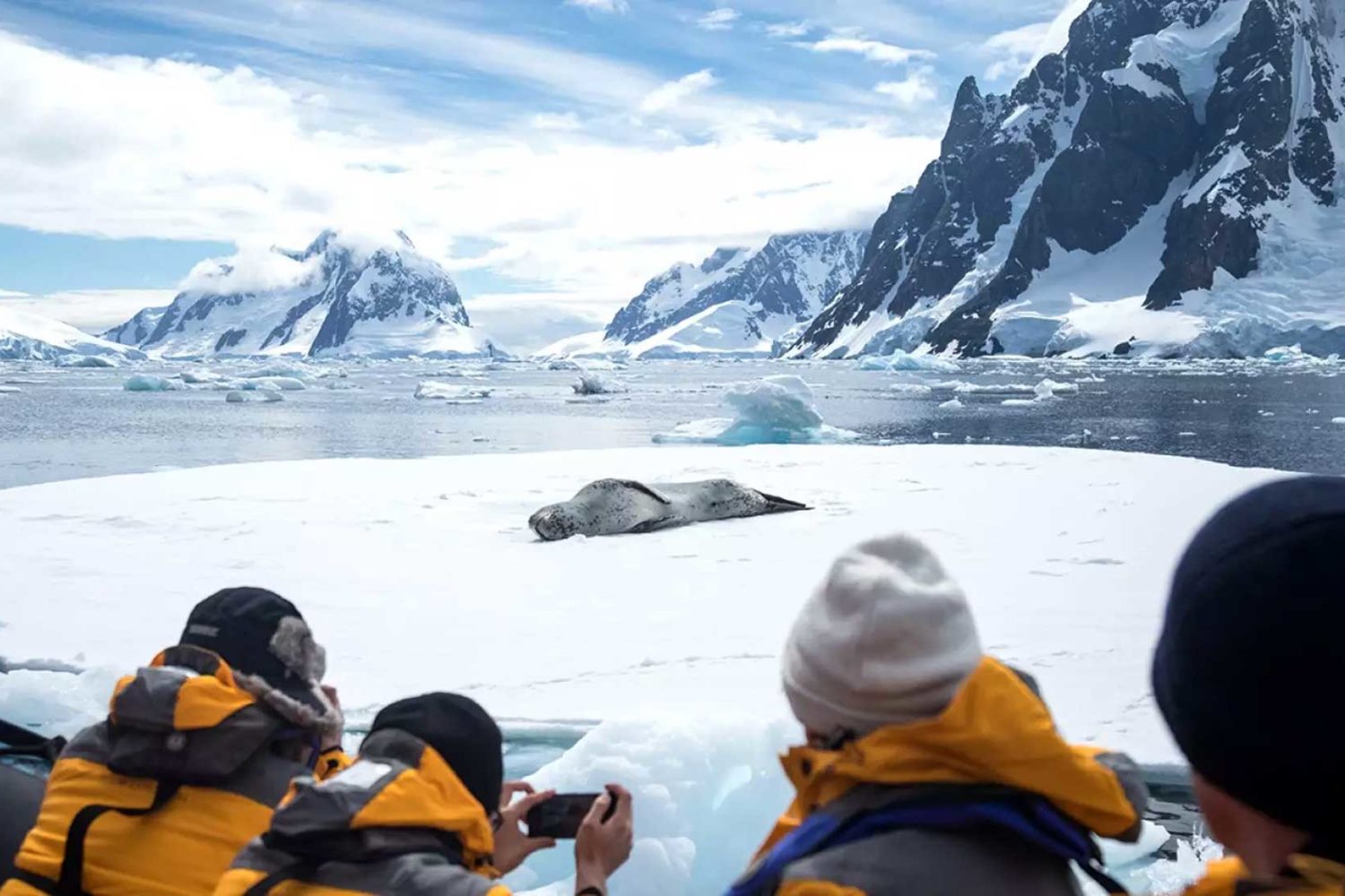 夸克11天直飞南极跨南极圈之旅价格