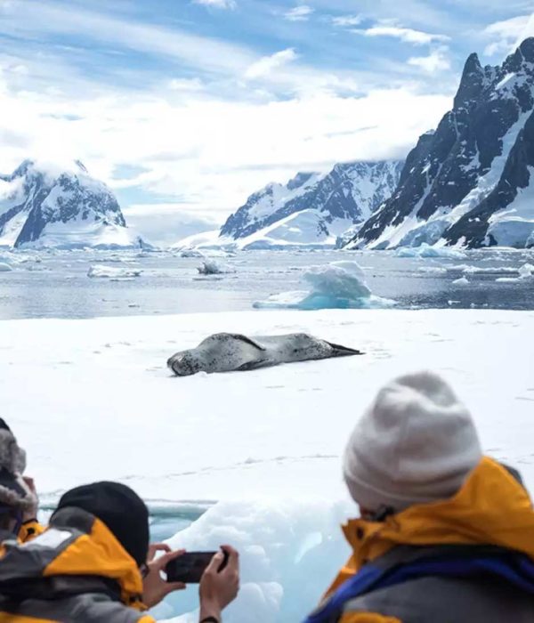 夸克11天直飞南极跨南极圈之旅价格