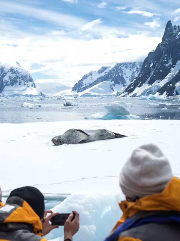 夸克11天直飞南极跨南极圈之旅价格