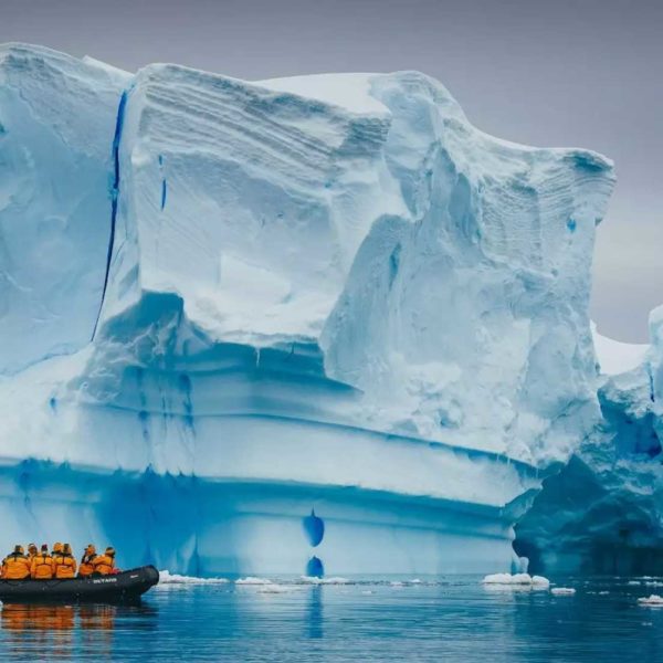 20天南极三岛环线旅行
