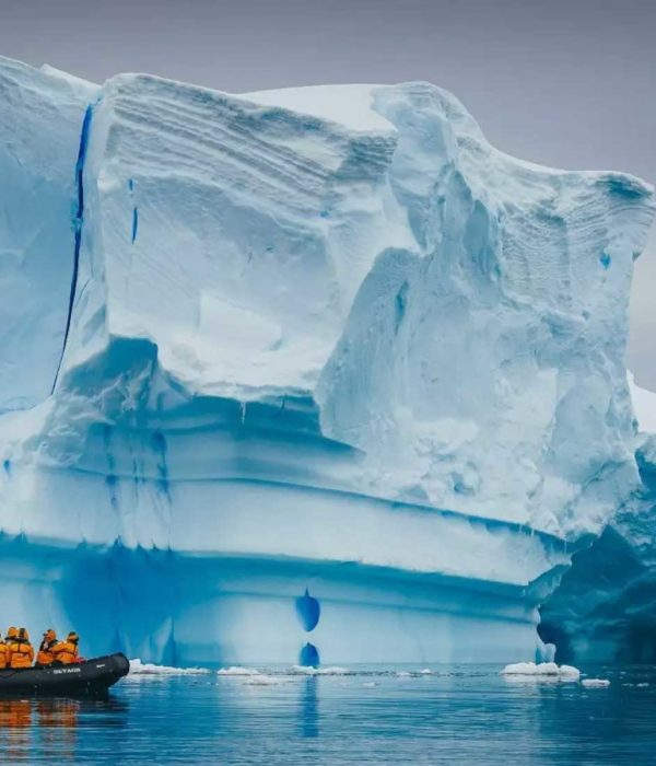 20天南极三岛环线旅行