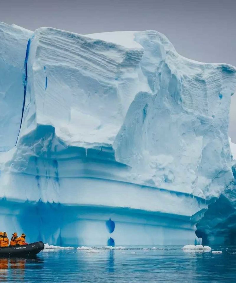 20天南极三岛环线旅行