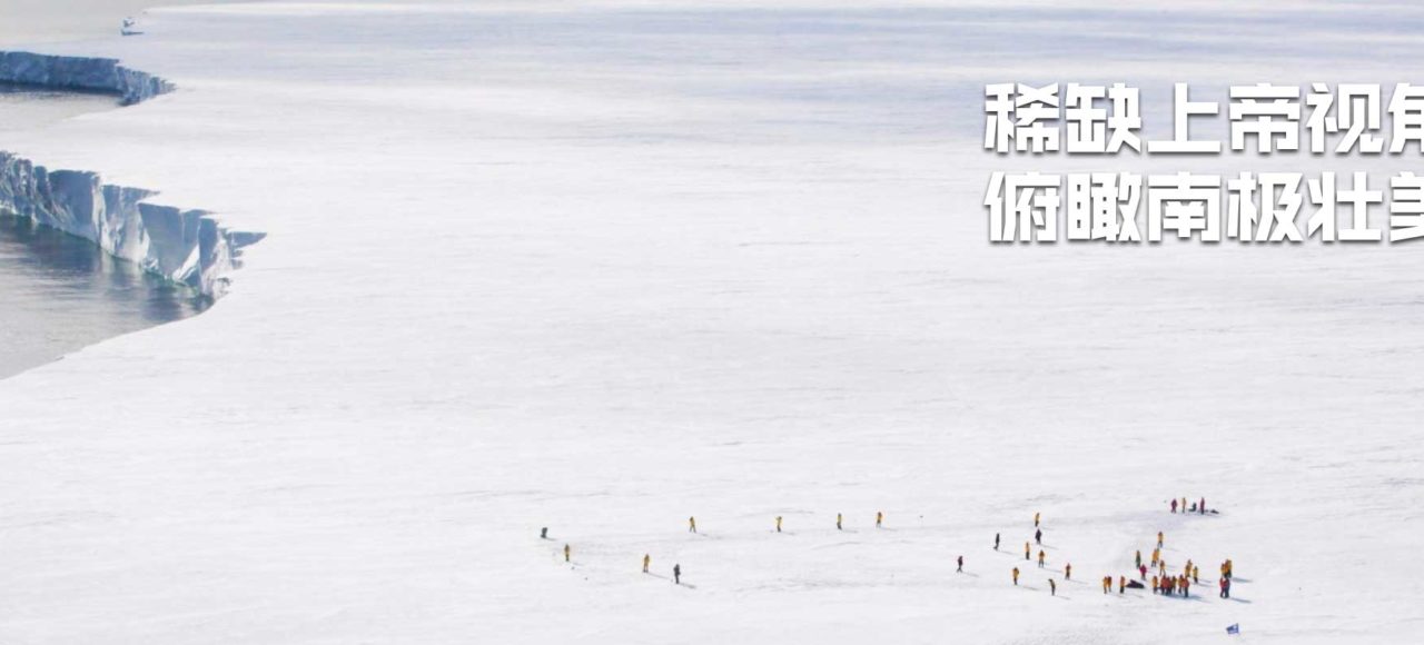 南极帝企鹅旅行