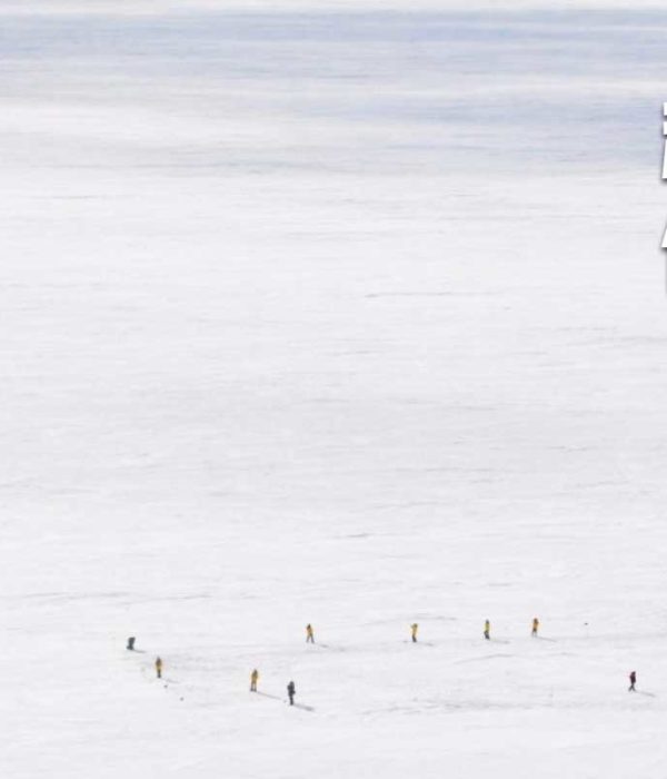 南极帝企鹅旅行