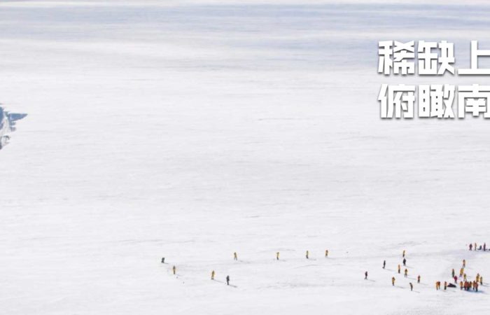 南极帝企鹅旅行