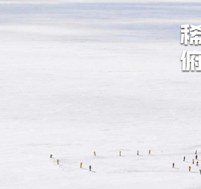 南极帝企鹅旅行