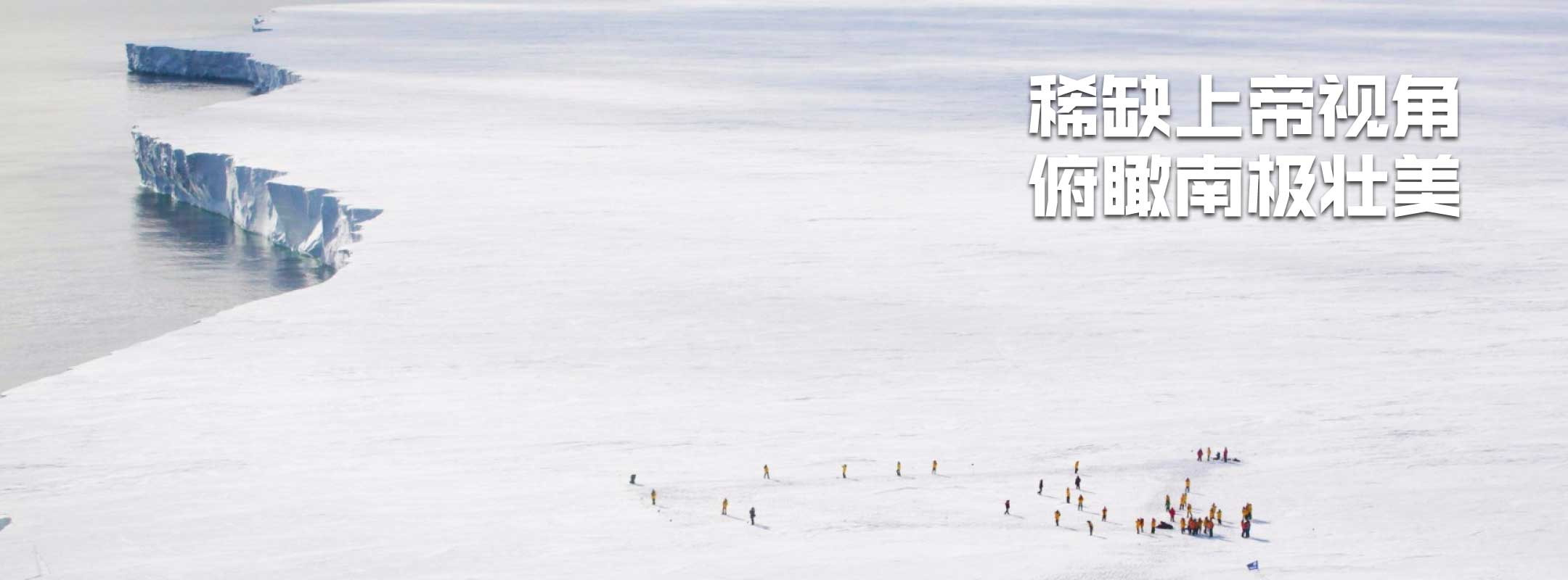 南极帝企鹅旅行